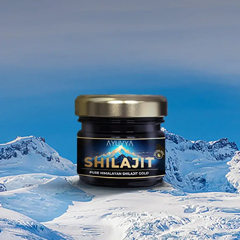 Shilajit vs Other Adaptogens: What Makes It Unique?